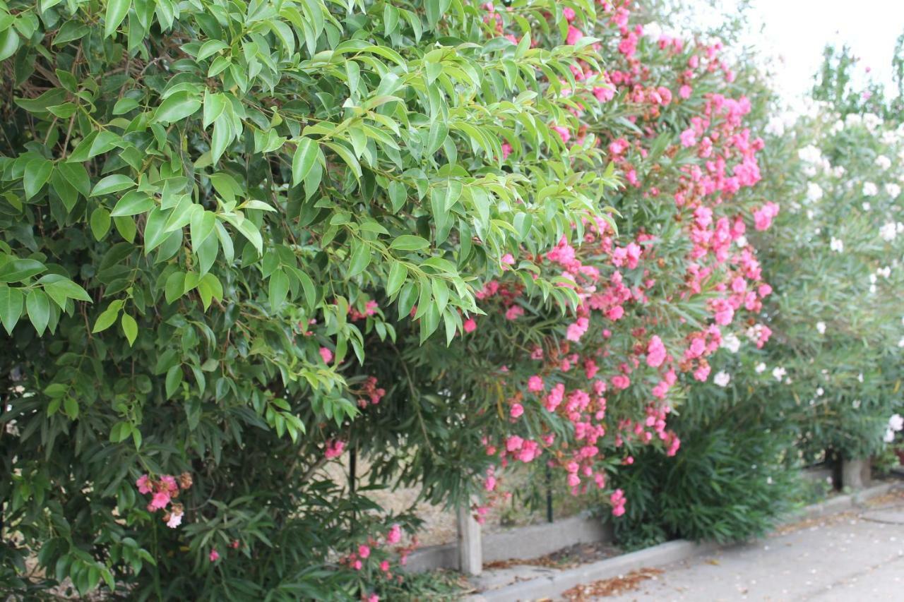 Le Anfore di Arpi Foggia Extérieur photo